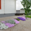Отель Vasekoja Holiday Home, фото 7