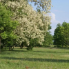 Отель Gite Le Pigeonnier, фото 1