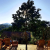 Отель Morning Glory Inn, фото 14