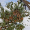 Отель Lotsenstieg 03, фото 15