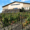 Отель Buil & Gine Wine Hotel, фото 15