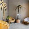 Отель Palm Tree Hotel, Best Western Signature Collection, фото 8