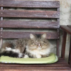 Отель Casa Rural Arrizurieta, фото 15