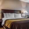 Отель Quality Inn, фото 18