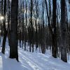 Отель La CACHE du LAC в Сене-Габриэле-де-Брандоне