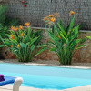 Отель Villa Miguel Angel, фото 9