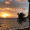 Отель Flamingo Beach Plus, фото 16