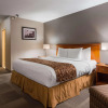 Отель Best Western St. Catharines Hotel & Conference Centre, фото 35