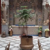 Отель Riad Dar Essafi, фото 11