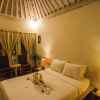 Отель Dream Villa, фото 8