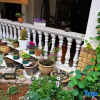 Отель Wuchuan Dongshan Private Language Homestay, фото 8