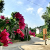 Отель Firefly Homestay, фото 1