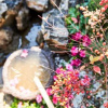 Отель Linxi Xiaoyuan Inn (Dali Ancient Town Renmin Road Branch), фото 21