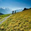 Отель Wetterhorn, фото 19