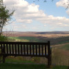 Отель Carlton Lodge, фото 10