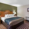 Отель Econo Lodge Inn & Suites Socorro, фото 30