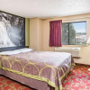 Отель Super 8 Harrisonburg, фото 12