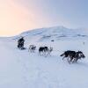 Отель Coal Miners Cabins, фото 28