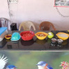 Отель Dandeli Mysa RC - Hostel, фото 18