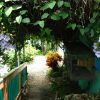 Отель The Lazy Parrot Inn, фото 18