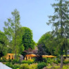 Отель Waldhotel, фото 7