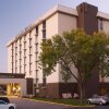Отель Embassy Suites by Hilton Bloomington/Minneapolis, фото 13