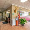 Отель Reidsville Inn & Suites By OYO Hwy 29, фото 2