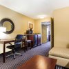 Отель Comfort Inn & Suites Ballpark Area, фото 16