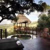Отель Thanda Safari, фото 10