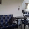 Отель Villa Bahri Luxor, фото 7