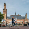 Отель voco The Hague, an IHG Hotel, фото 28