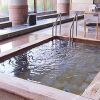 Отель Tokinosumika Subashiri Onsen Hotel Tenkei, фото 10