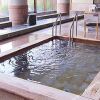 Отель Tokinosumika Subashiri Onsen Hotel Tenkei, фото 8