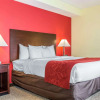 Отель Comfort Suites Rock Hill Manchester Meadows Area, фото 3