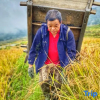 Отель Yuanyang Yunshang Homestay, фото 3