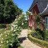 Отель Drivvejens B&B, фото 17