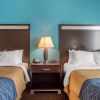 Отель Comfort Inn & Suites, фото 21