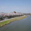 Отель Apartment Hotel Kamo Riverside Kyonoya, фото 24