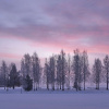 Отель Scandic Bollnäs, фото 37