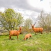 Отель Taigh Cruinneachadh, фото 36