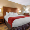 Отель Comfort Inn Joliet West I-80, фото 6