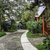 Отель y Bungalows El Jardín, фото 26