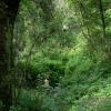 Отель Magoebaskloof Getaway, фото 9