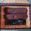 Отель Satori Homestay Entire House, фото 2