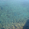 Отель Vesna - 100 m From sea - A2, фото 12