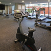 Отель Holiday Inn Express & Suites Monterrey Valle, an IHG Hotel, фото 20