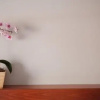 Отель Flat 2 bedrooms 1 bathroom - Sidari, фото 21