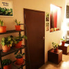 Отель Sunset Homestay 2, фото 16