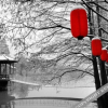 Отель Wolong Riverside Manor, фото 7