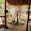 Отель Kin Tulum Jungle Deluxe, фото 11